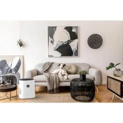 Boneco Air Washer W220 Weiss - Luftreiniger ⋅ Luftwäscher -Heizen ⋅ Lüften ⋅ Klima Sales 10667615 3 d 1
